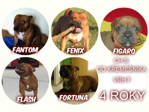 4-roky.jpg