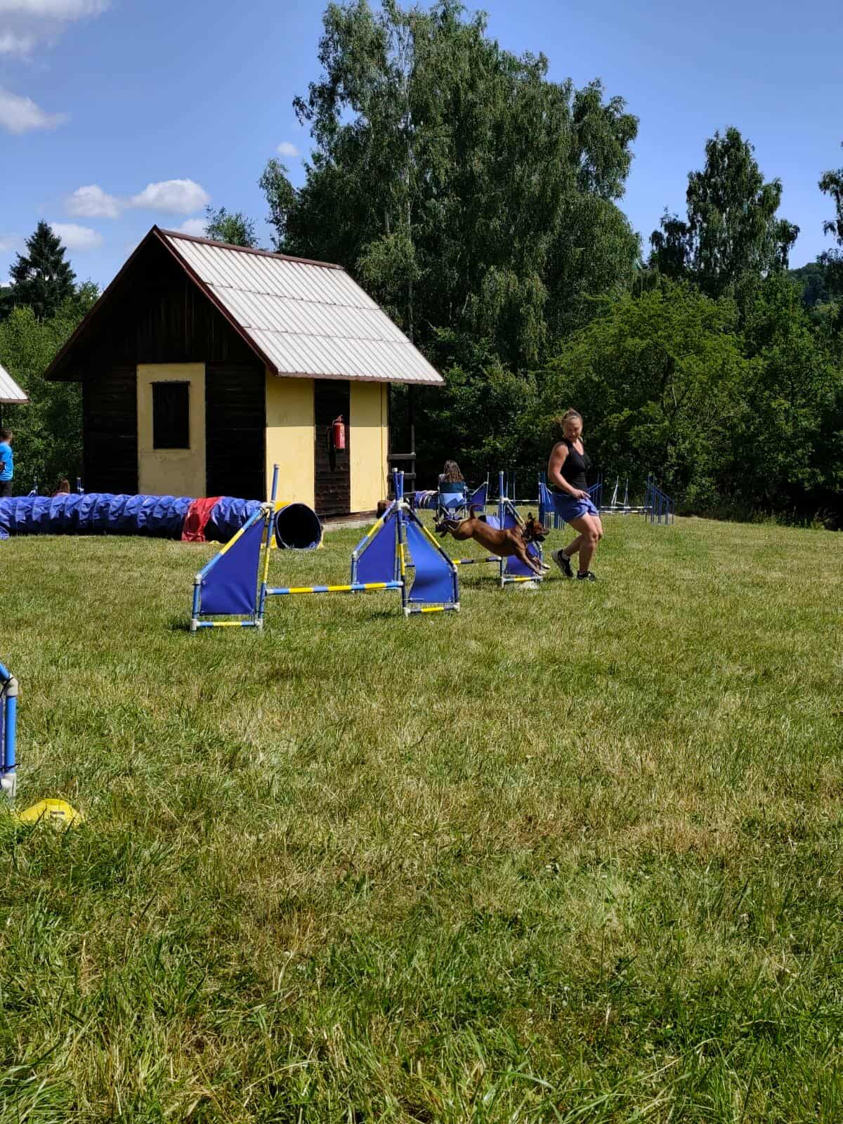 514221447_1776971609917513_392864077345226309_n