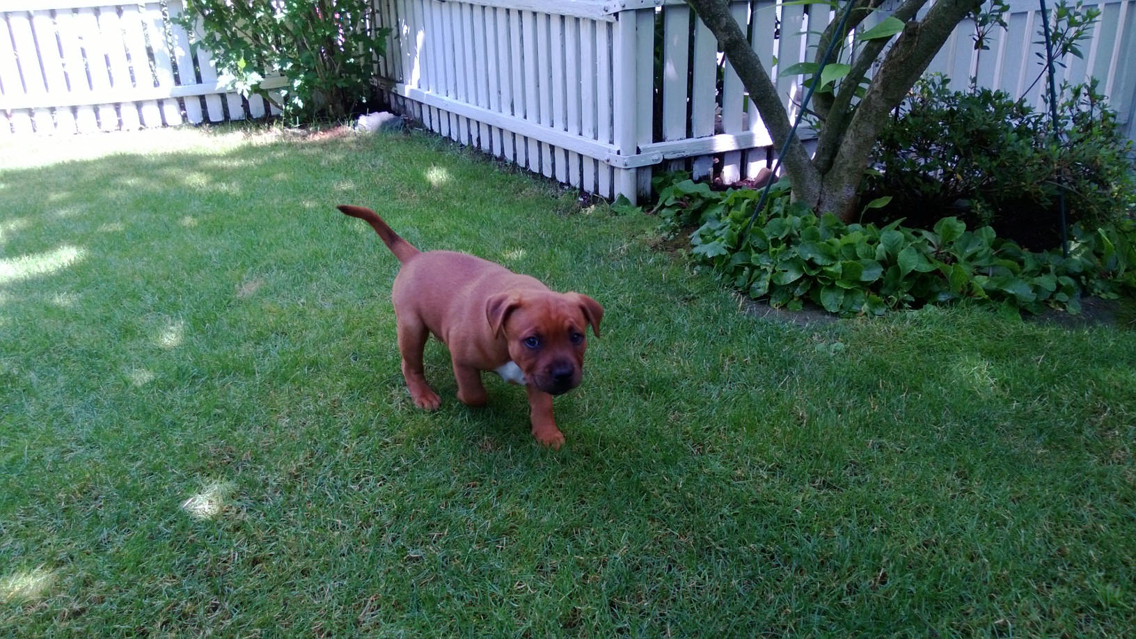 WP_20130713_001