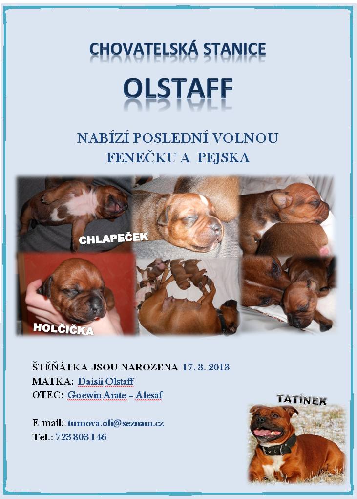 olstaff-2013-03-30