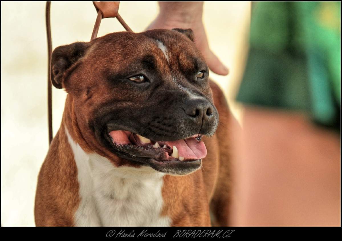 IMG_2372