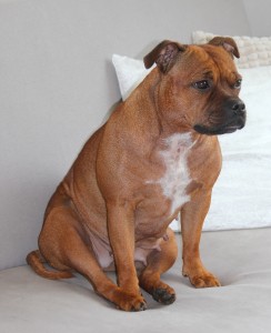 img_1775aaaa.jpg