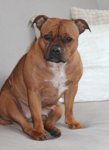 img_1773aaa.jpg