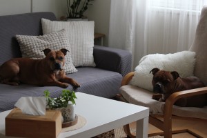 img_2209aaa.jpg