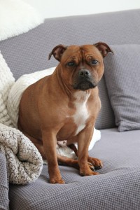 img_2180aaa.jpg