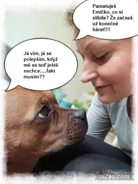 stazeny-soubor.png