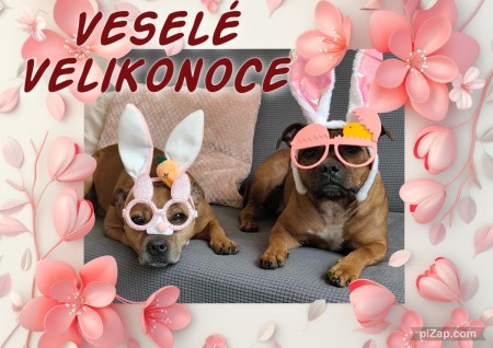 pizap--73-.jpg