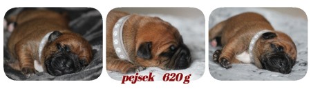 pizap---2025-05-28t234049.960.jpg