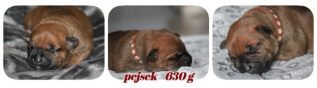 pizap---2025-05-28t234339.234.jpg