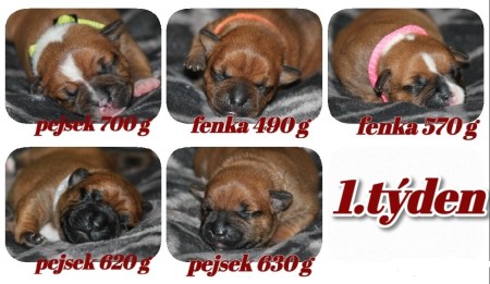 pizap---2025-05-29t001030.945a.jpg