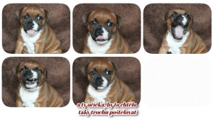 pizap---2025-06-26t160912.219.jpg