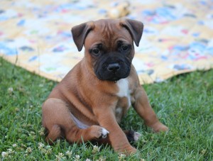 img_3441a.jpg