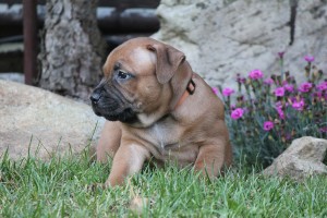 img_3349a.jpg