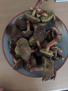 c9e11039-d285-4296-b890-9655b3849aa4.jpg