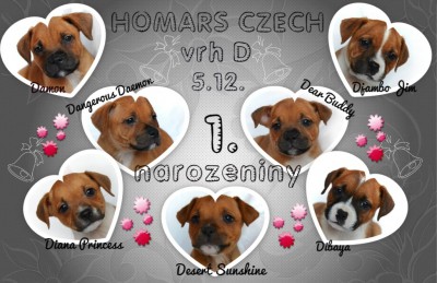 narozeniny.jpg