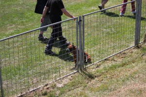 img_5729.jpg