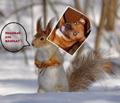 6zatbkydpzp5olz2ib_5kgiax44etsk-xd1zfnyxcmp9i2ghaygzlckc0-zvkf_y0dtr_l4.jpg