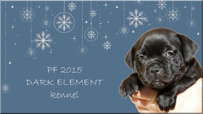 pf-202015-20--20kennel-20dark-20element.jpg