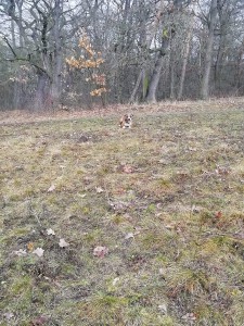 received_180011916448259.jpeg