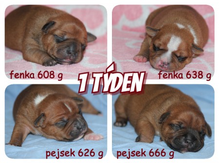 pizap--30-.jpg