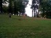 14192691_1046600715458319_4014119754086084260_n