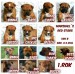 pizap.com14933188950941