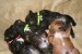 img-9457_orig