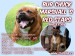 pizap.com15284519089824aa