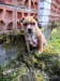 FB_IMG_1619535884084
