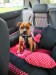 IMG-20210503-WA0002