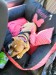 IMG-20210503-WA0003