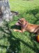 IMG-20210509-WA0001