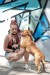 bb4534af-2248-47d6-9347-13bcb949ad7a.jfif